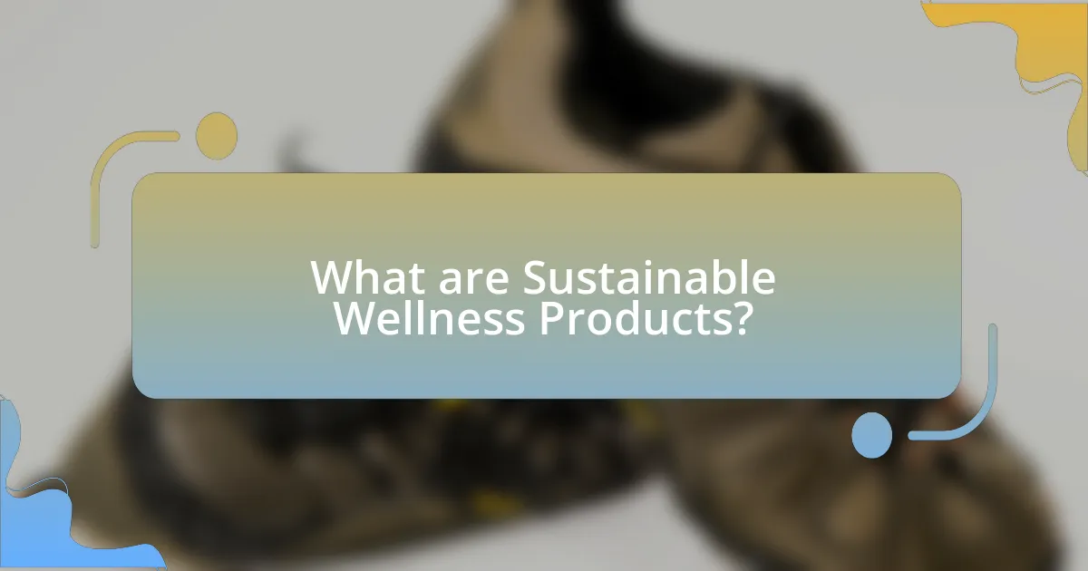 What are Sustainable Wellness Products?